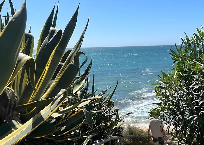 Casa Antonia Conil 2 * コニル・デ・ラ・フロンテラ